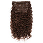 Curly Lace Clip-In Hair Extensions