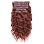 Wavy Lace Clip-In Hair Extensions